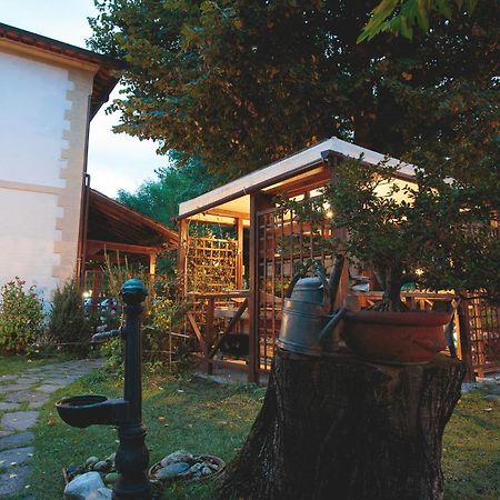 Hotel Giuly Torre del Lago Puccini Exteriör bild